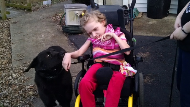 Animal Village the Spot for Special Birthday)