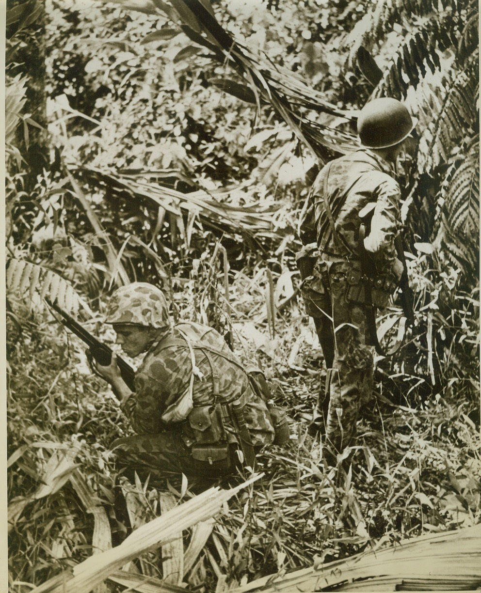 Part of the Jungle, 11/22/1943. SOUTH PACIFIC -- A pair of Marines fervently hope that they are indistinguishable from jungle foliage as one looks one way, and the other searches in the opposite direction, for a Jap sniper on Bougainville who apparently is a well-hidden as they are. With rifles "on the ready", they crouch at the side of a jungle trail.  Credit: (ACME);
