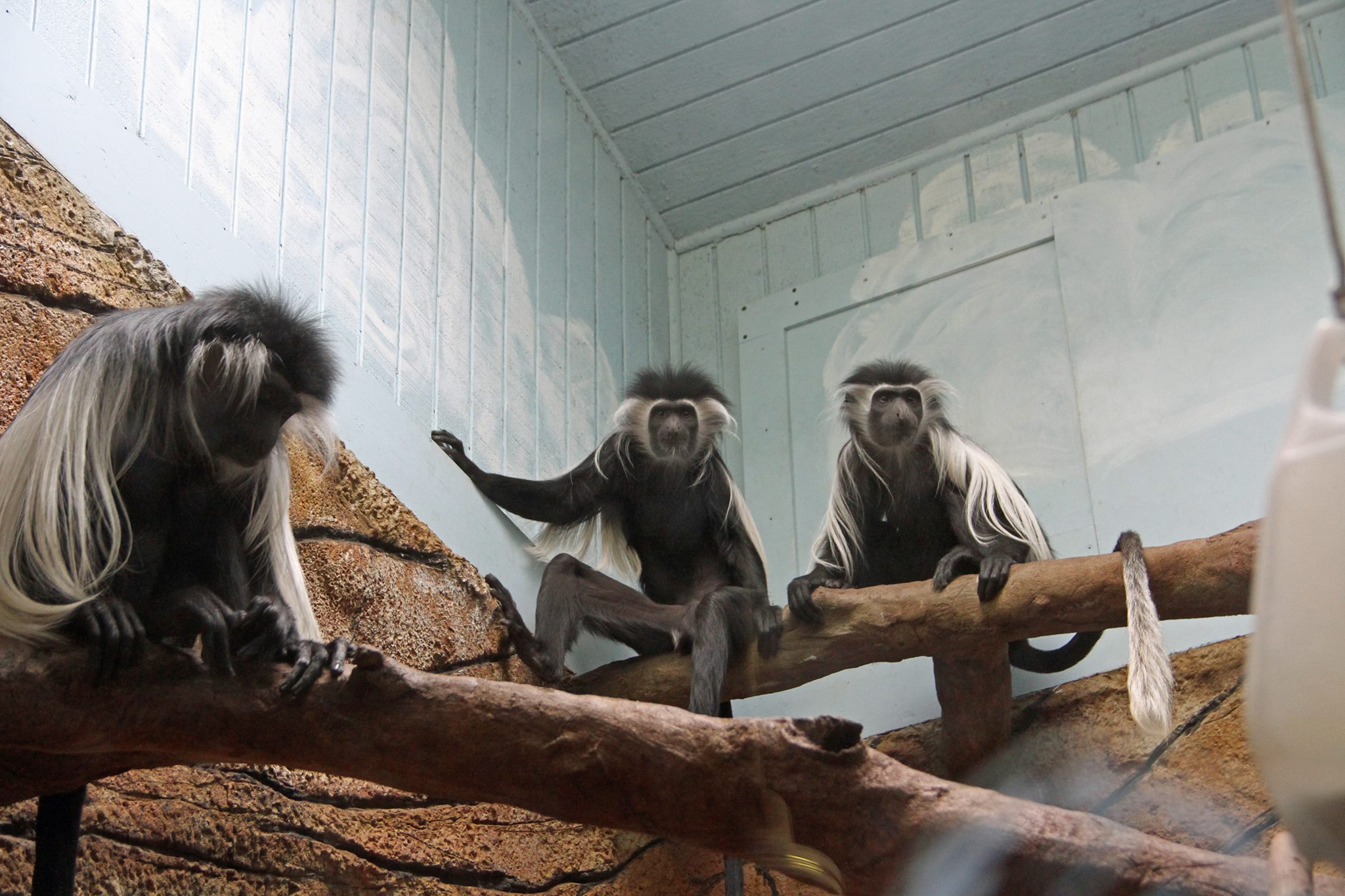 Zoo Announces Renewal of Annual Sponsorship with Hiland Dairy)