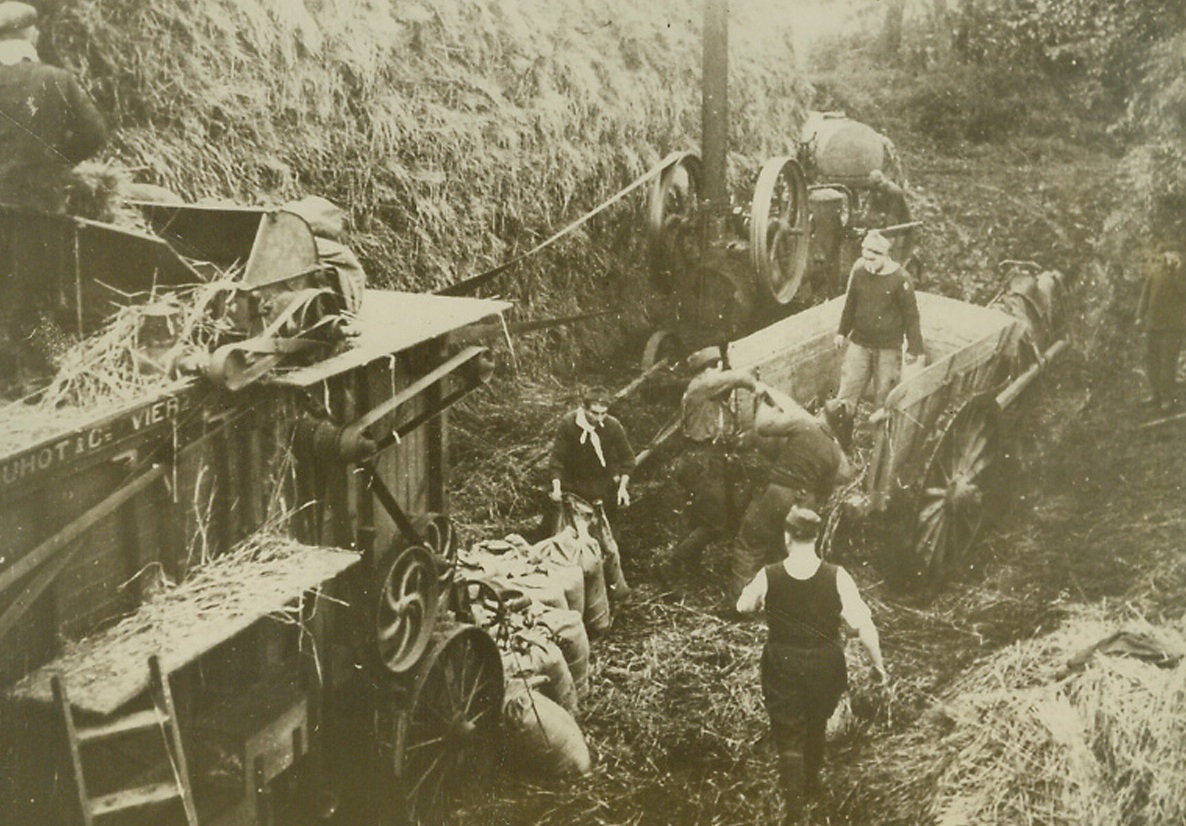 Soldiers Help With Threshing, 11/17/1939. France—Perhaps giving a hint of the lack of activity on the western front, these soldiers are helping with the threshing of wheat somewhere in France. Credit: ACME.;